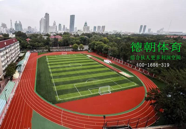 新國標(biāo)混合型塑膠跑道