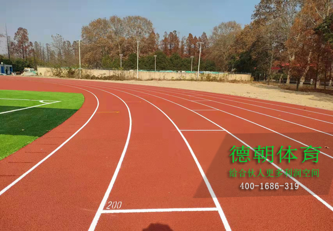 重慶新國標(biāo)全塑型塑膠跑道