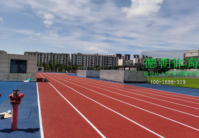 新國標塑膠跑道
