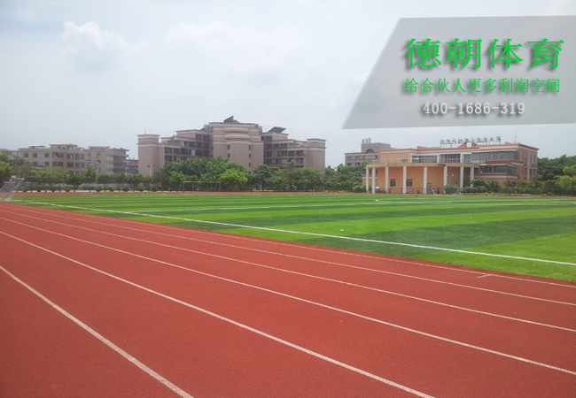 新國(guó)標(biāo)混合型塑膠跑道