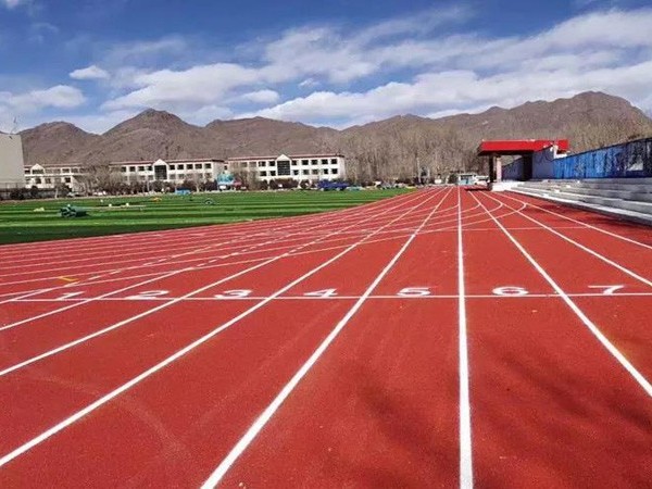 新國(guó)標(biāo)塑膠跑道材料