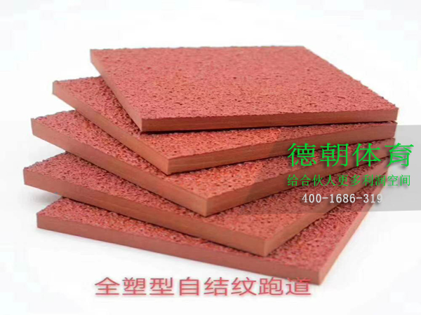 新國標全塑型塑膠跑道材料