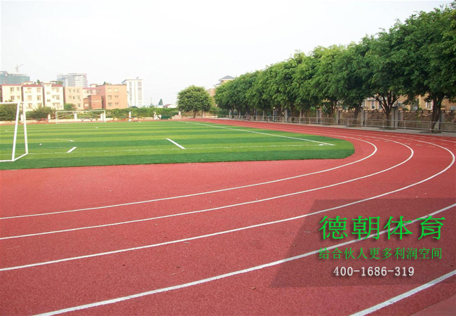 新國標全塑型塑膠跑道材料