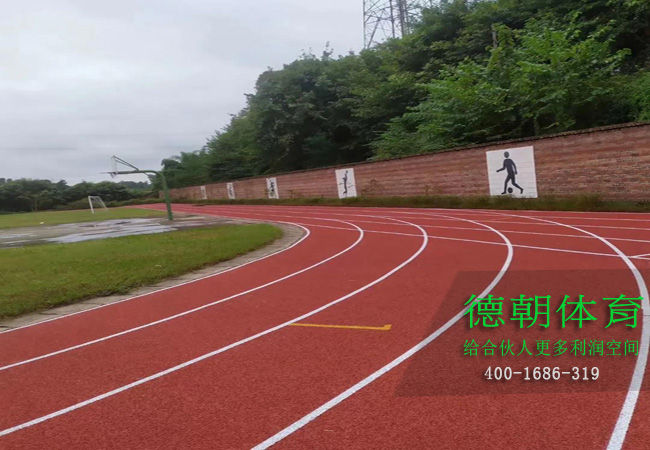 浙江新國標(biāo)塑膠跑道材料