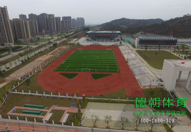 新國標塑膠跑道材料