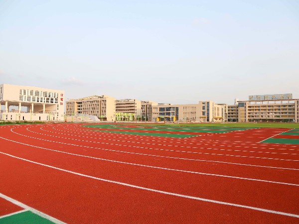 新國標(biāo)混合型塑膠跑道材料