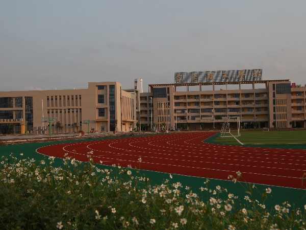 云南新國標(biāo)塑膠跑道材料