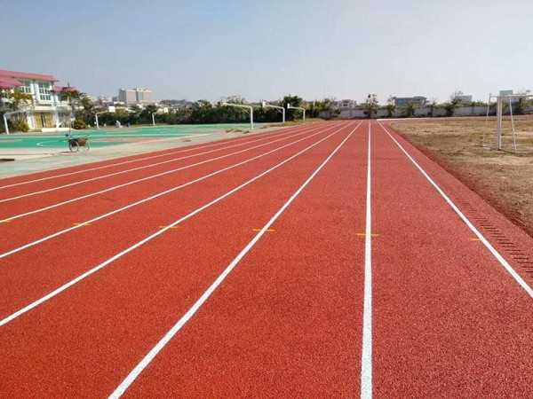 新國標塑膠跑道